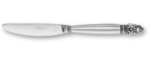  Acorn dinner knife hollow handle 