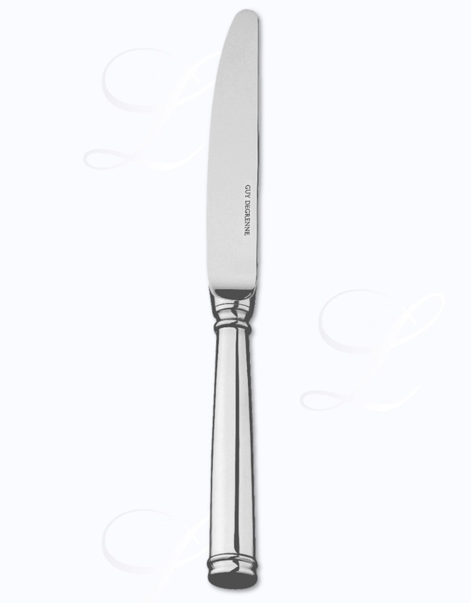 Guy Degrenne Absolu table knife hollow handle 