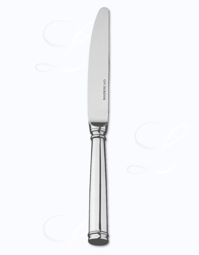 Guy Degrenne Absolu dessert knife hollow handle 