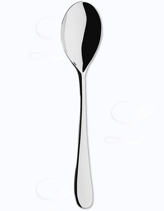 Guy Degrenne Aquatic serving spoon 