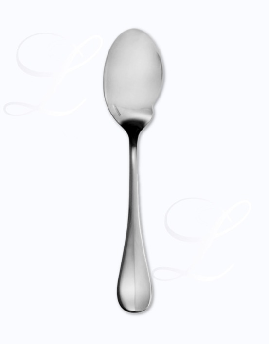 Guy Degrenne Beau Manoir gourmet spoon 