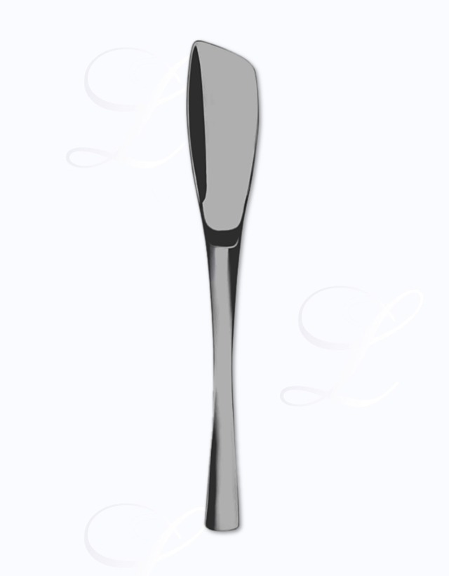 Guy Degrenne XY gourmet spoon 