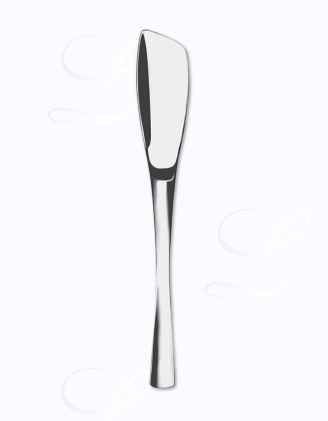 Guy Degrenne XY gourmet spoon 