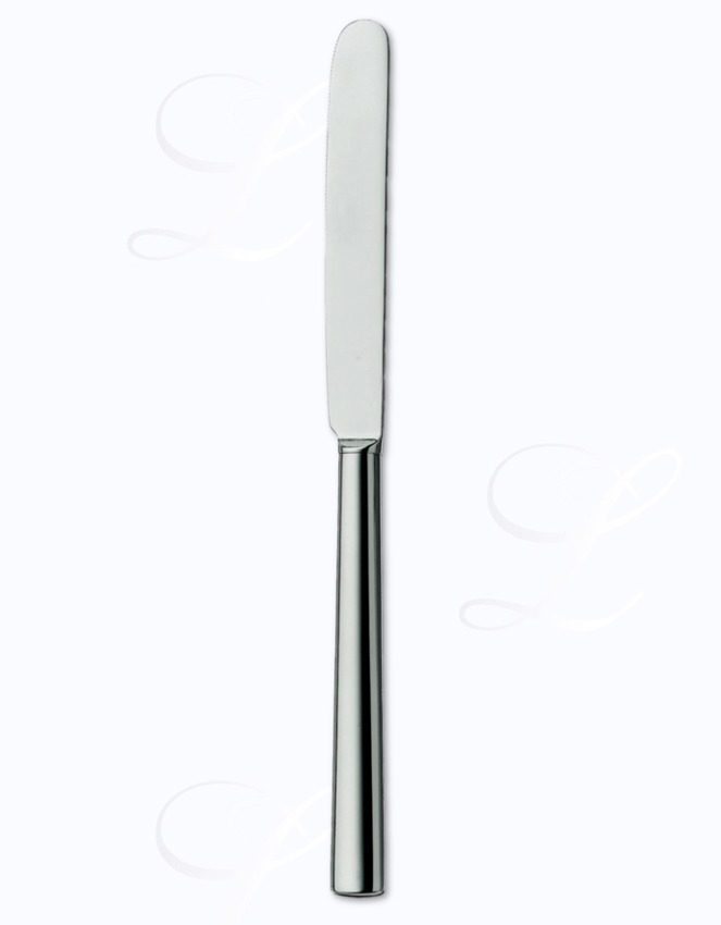 Auerhahn Omnia dinner knife hollow handle 