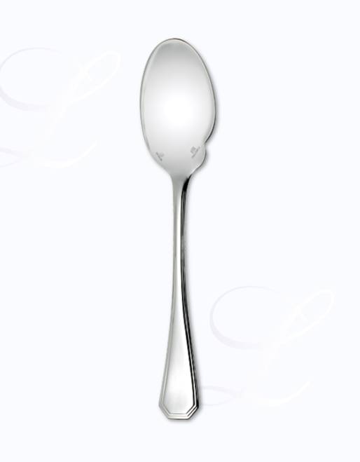 Christofle América gourmet spoon 