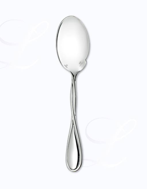 Christofle Galéa gourmet spoon 