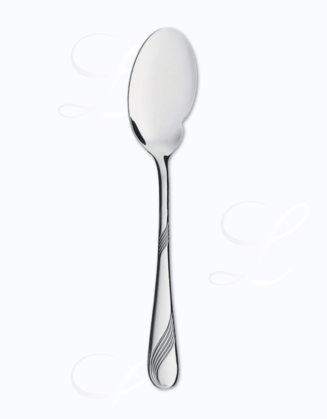 Picard & Wielpuetz Gala gourmet spoon 