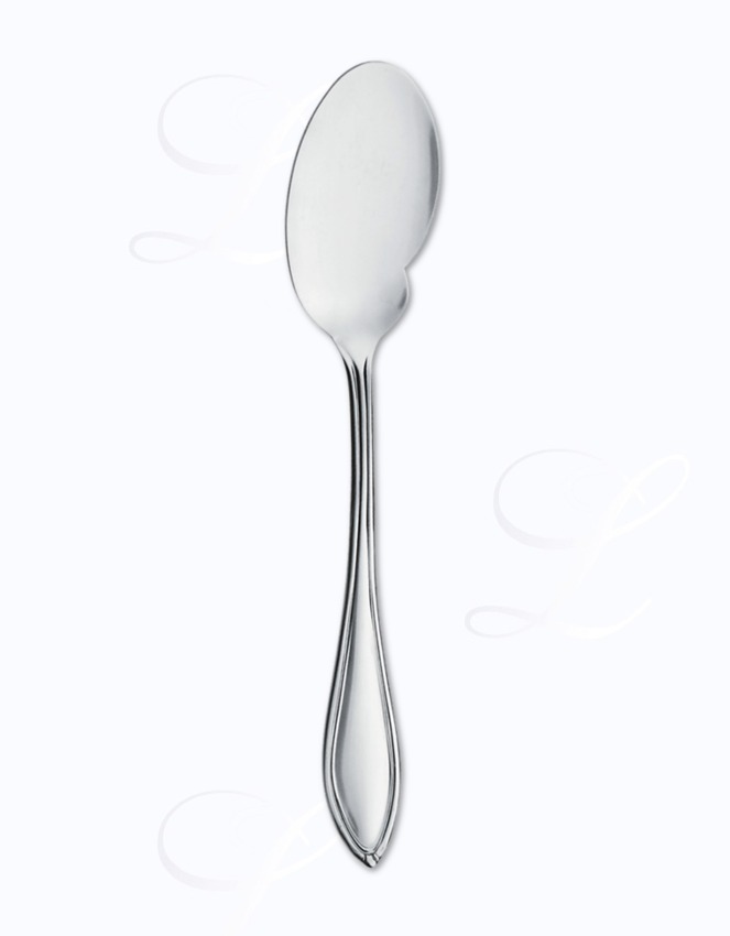 Picard & Wielpuetz Novara gourmet spoon 
