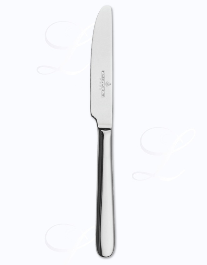 Picard & Wielpuetz Ticino dinner knife steel handle 