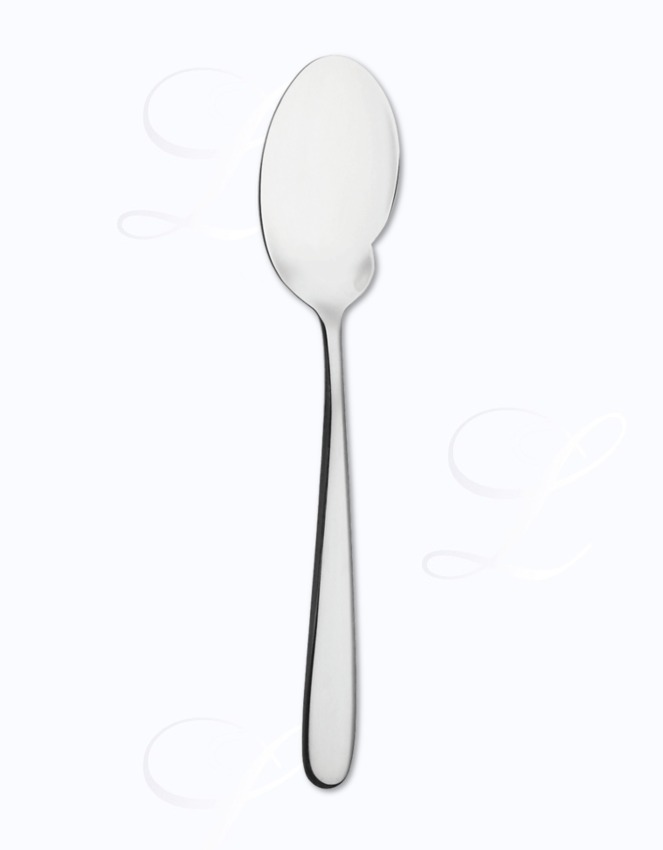 Picard & Wielpuetz Ticino gourmet spoon 