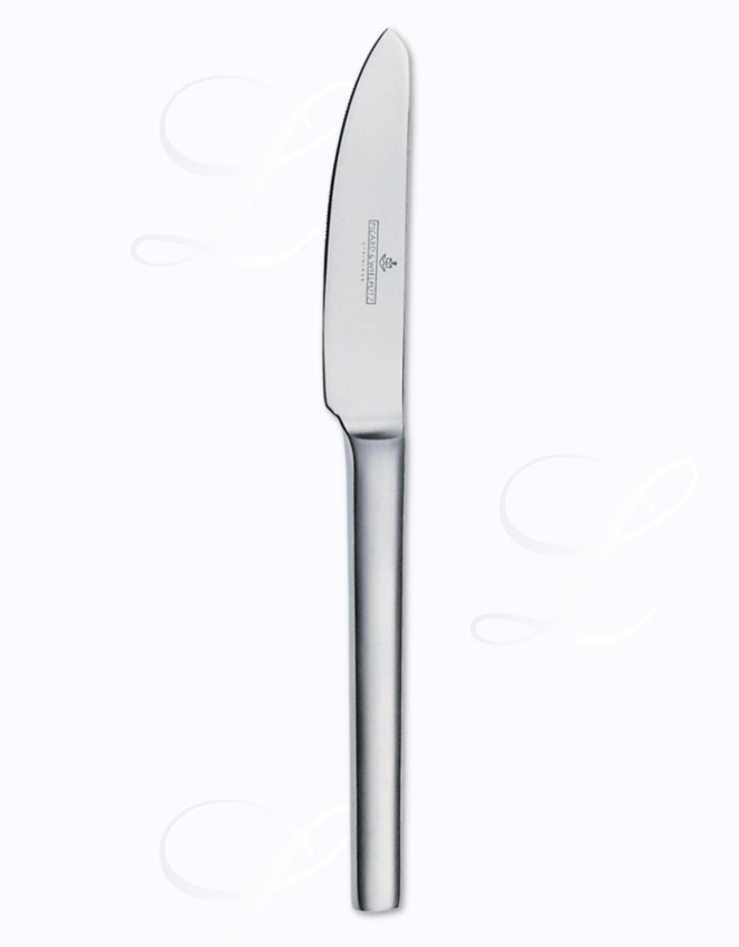 Picard & Wielpuetz Tools dessert knife monobloc 