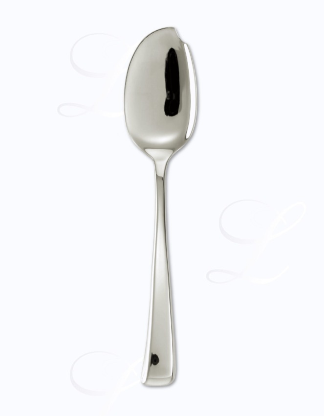 Sambonet Imagine gourmet spoon 