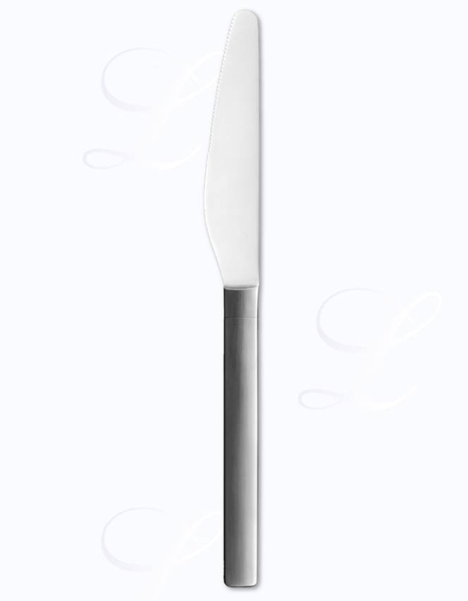 Carl Mertens Mano table knife hollow handle 