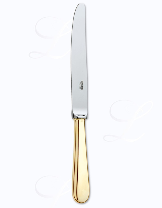 Ercuis Baguette table knife hollow handle 