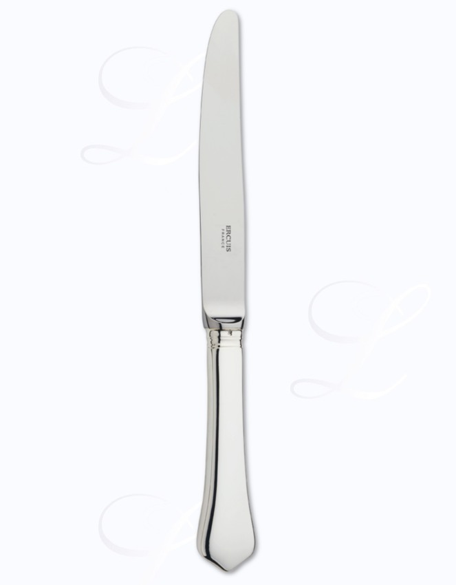 Ercuis Brantôme table knife hollow handle 