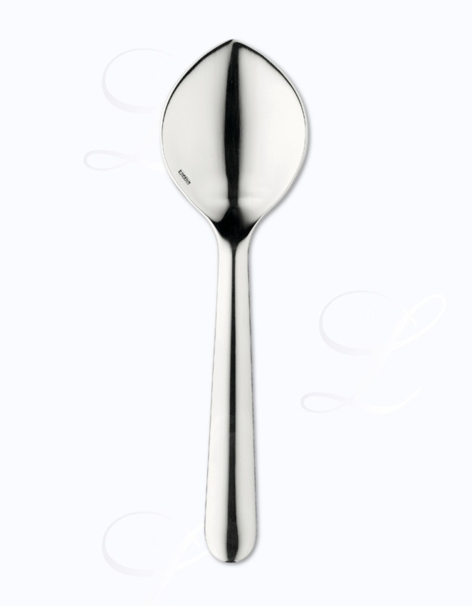 Ercuis Equilibre gourmet spoon 