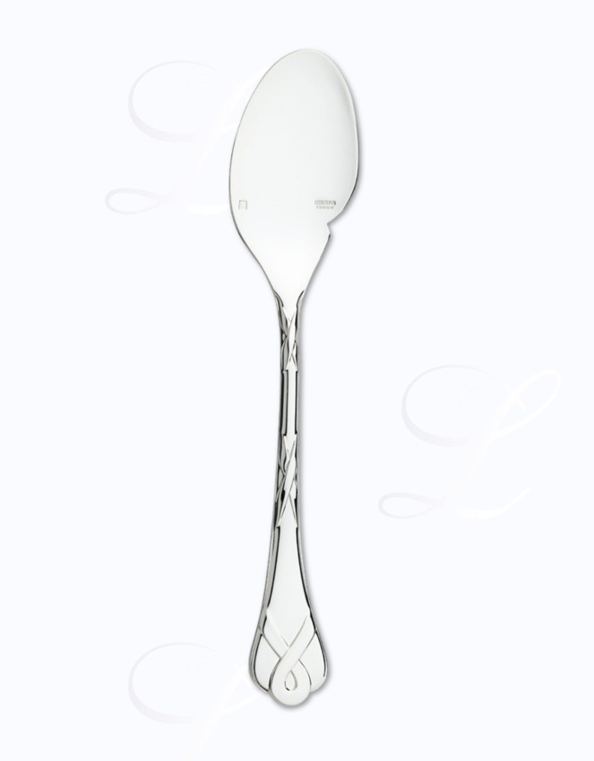Ercuis Paris gourmet spoon 