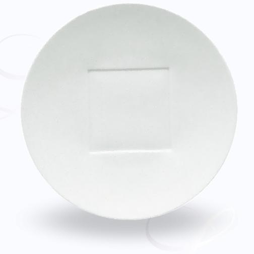 Raynaud Hommage dinner plate square center
