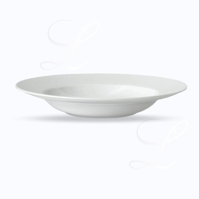 Raynaud Menton soup plate w/ rim 23 cm 