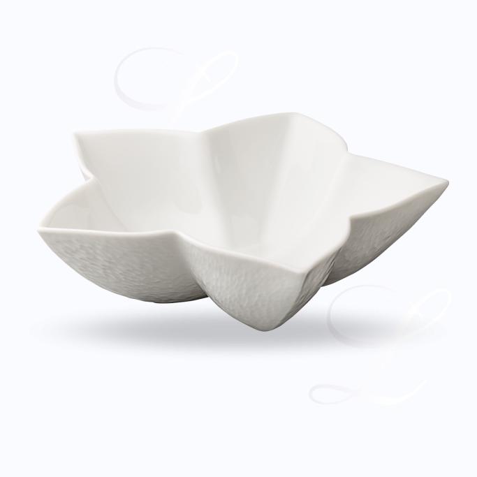 Raynaud Mineral bowl anis