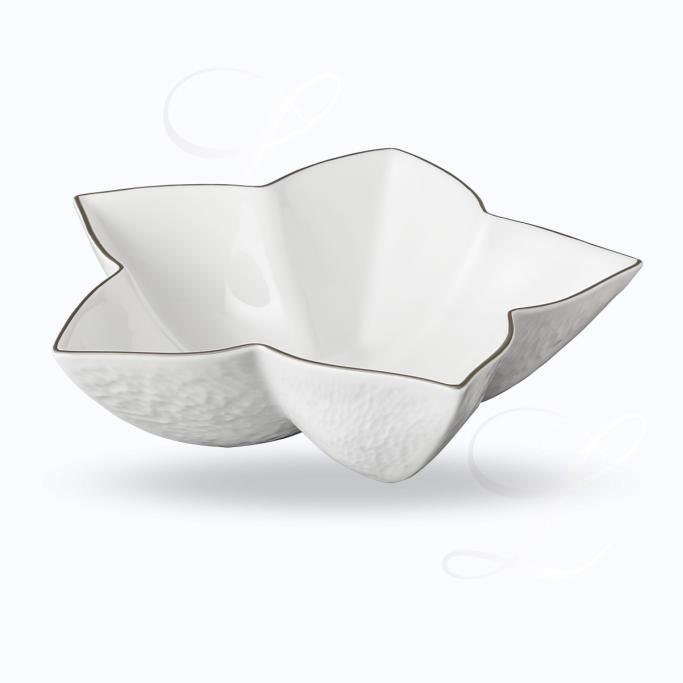 Raynaud Mineral Platine bowl anis