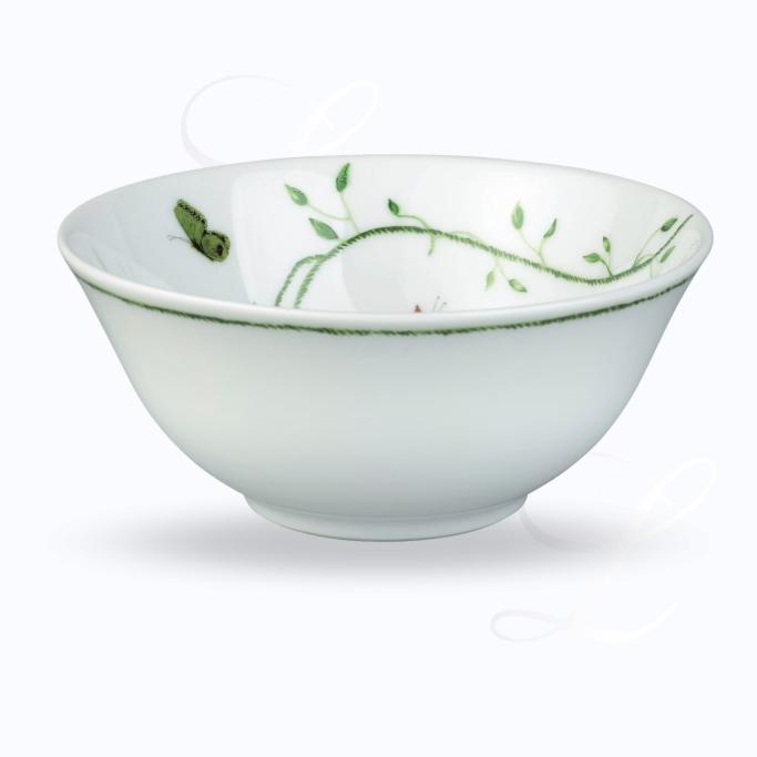 Raynaud Histoire Naturelle rice bowl 
