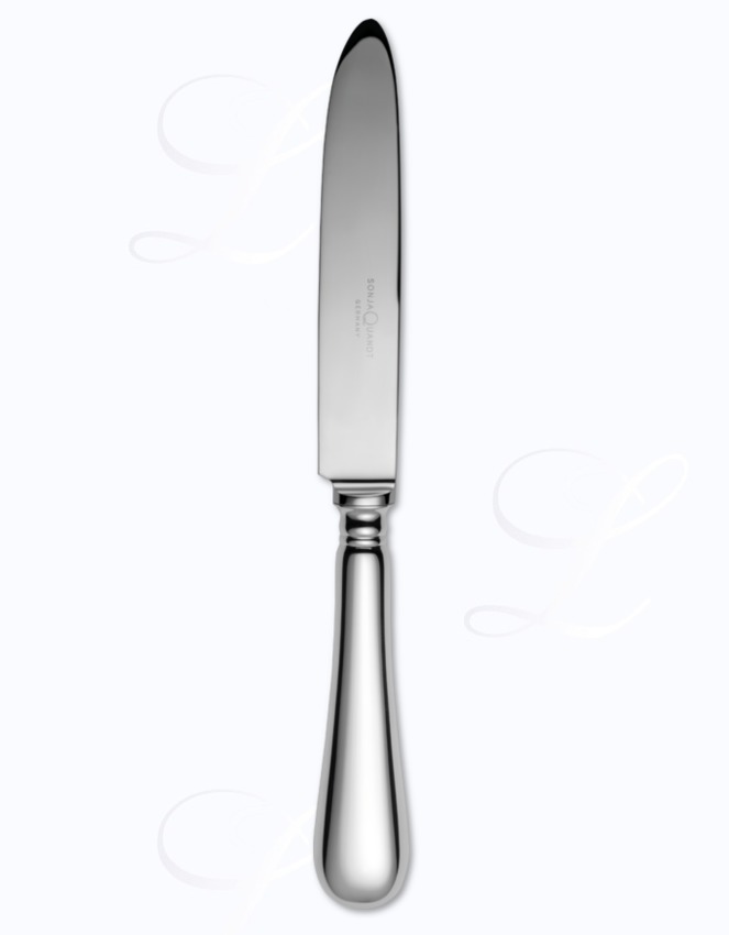 Sonja Quandt Baguette dinner knife hollow handle 