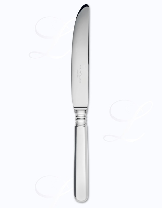 Sonja Quandt Spaten dinner knife hollow handle 