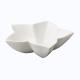 Raynaud Mineral bowl anis