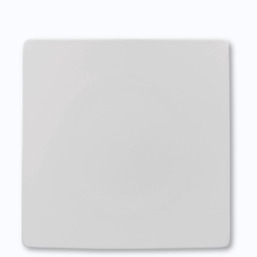 Rosenthal Jade Weiß