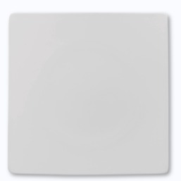 Rosenthal Jade Weiß