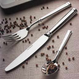 Guy Degrenne cutlery Absolu
