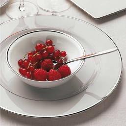 GuyDegrenne Galon Platinium 