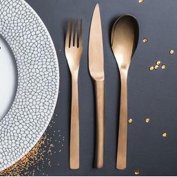 Guy Degrenne Besteck Guest Guy Degrenne Besteck Guest