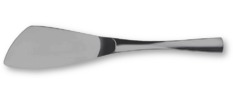  XY flat serving spoon  