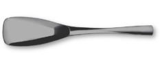  XY serving spoon 