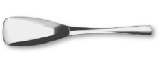  XY serving spoon 