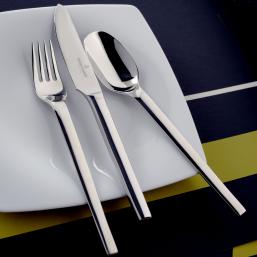 Picard & Wielpütz Besteck Tools poliert