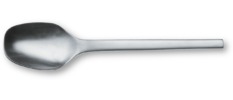  Tools serving spoon 