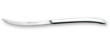 Avantgarde poliert table knife monobloc 