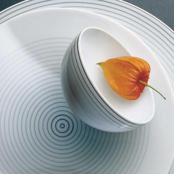 Rosenthal  Geschirr  - 