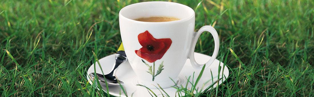 Guy Degrenne  Porzellan