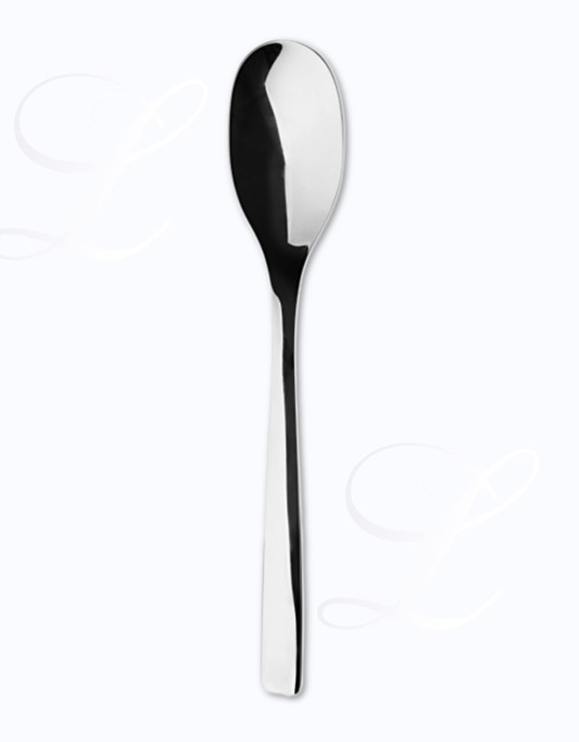 Guy Degrenne Guest table spoon 