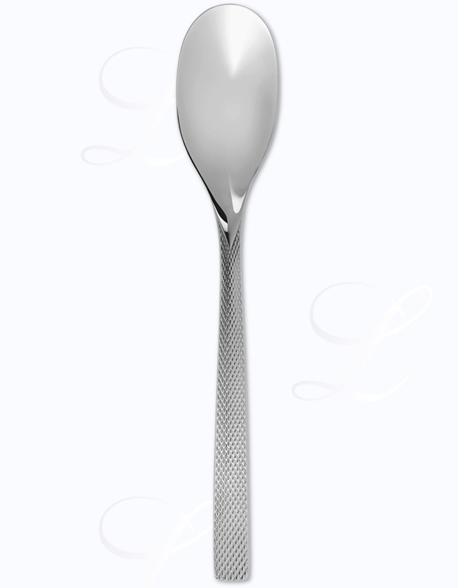 Guy Degrenne Guest Star serving spoon 