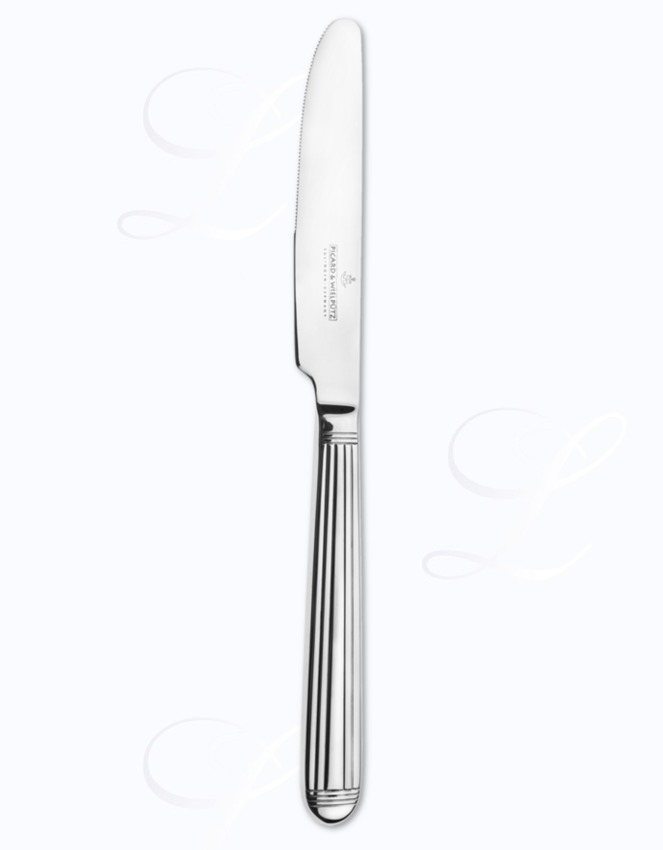 Picard & Wielpuetz Marina dinner knife hollow handle 