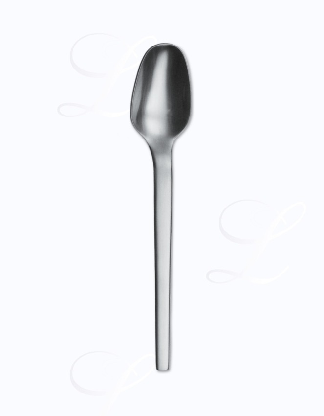 Picard & Wielpuetz Tools coffee spoon 