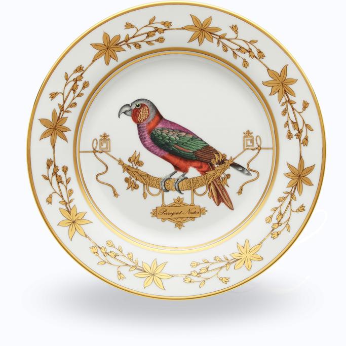 Richard Ginori Voliere dinner plate Perroquet Nestor 