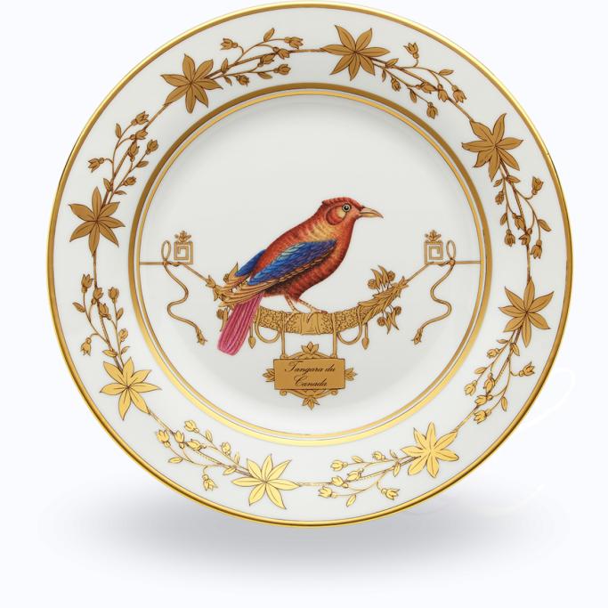 Richard Ginori Voliere dinner plate Tangara du Canada