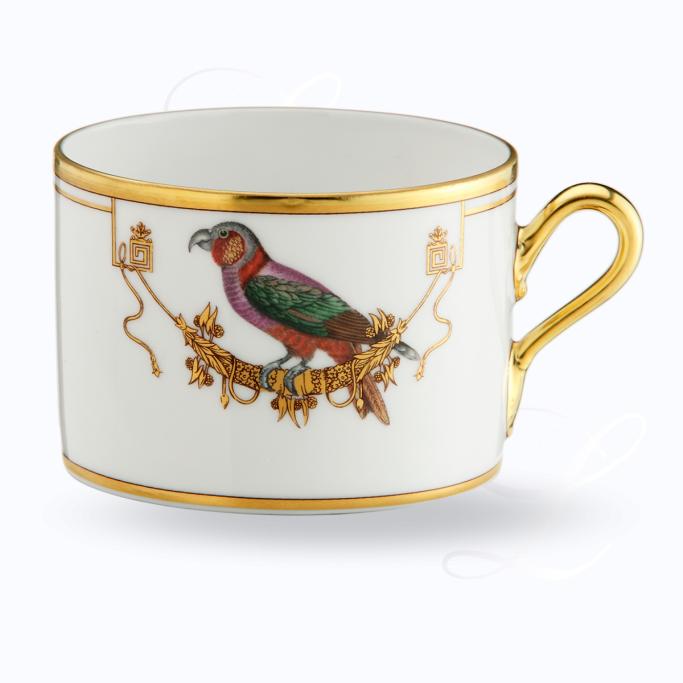 Richard Ginori Voliere teacup Perroquet Nestor 