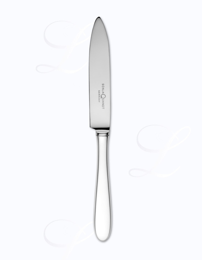 Sonja Quandt Avantgarde cake knife    hollow handle 